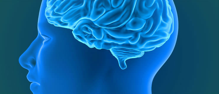 brain-shuttle Roche red